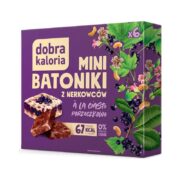 Mini batoniki z nerkowcami à la ciasto porzeczkowe bez cukru 102g DOBRA KALORIA