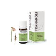 Olejek eteryczny walerianowy Waleriana Kozłek lekarski Valeriana officinalis 5ml PRANARÔM - obrazek 2