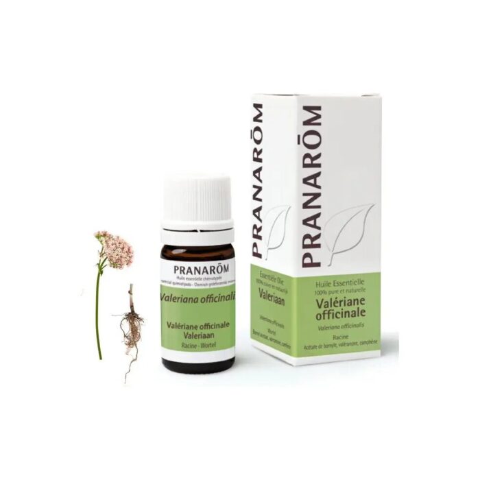 Olejek eteryczny walerianowy Waleriana Kozłek lekarski Valeriana officinalis 5ml PRANARÔM - obrazek 2