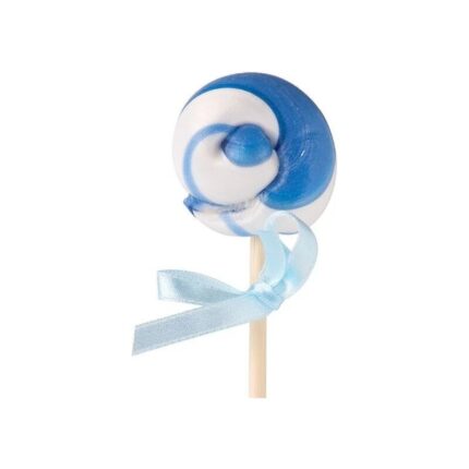 Lizak jagodowy bez cukru 20g STEWIARNIA