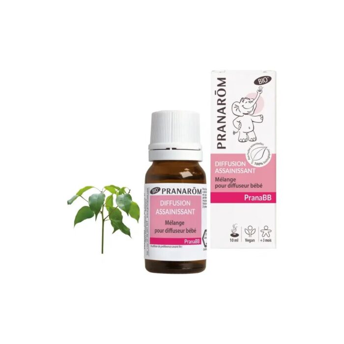 Mieszanka olejków eterycznych OCZYSZCZANIE POWIETRZA do dyfuzora 10ml PRANARÔM PRANABB EKO - obrazek 2