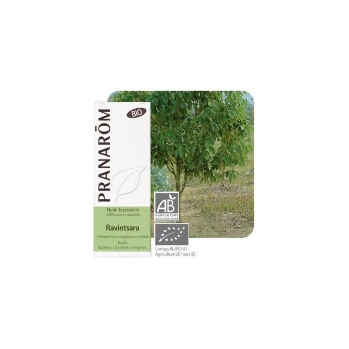 Olejek eteryczny Cynamonowiec kamforowy Ravintsara Cinnamomum camphora ct cineole 10ml PRANARÔM BIO - obrazek 1