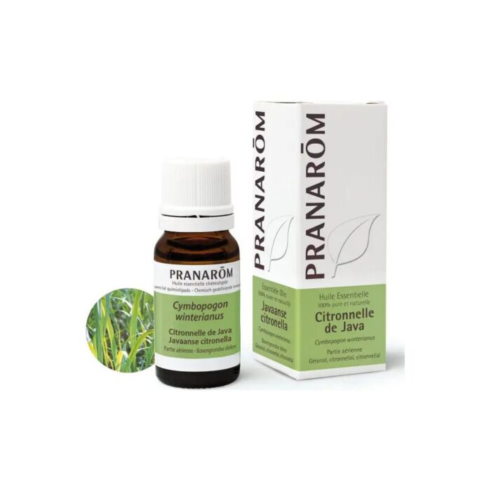Olejek eteryczny cytronelowy Citronella Java Palczatka Cymbopogon winterianus 10ml PRANARÔM - obrazek 2