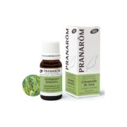 Olejek eteryczny cytronelowy Citronella Java Palczatka Cymbopogon winterianus 10ml PRANARÔM BIO - obrazek 2