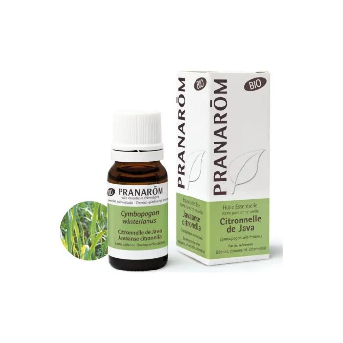 Olejek eteryczny cytronelowy Citronella Java Palczatka Cymbopogon winterianus 10ml PRANARÔM BIO - obrazek 2