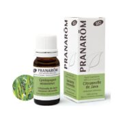 Olejek eteryczny cytronelowy Citronella Java Palczatka Cymbopogon winterianus 10ml PRANARÔM BIO