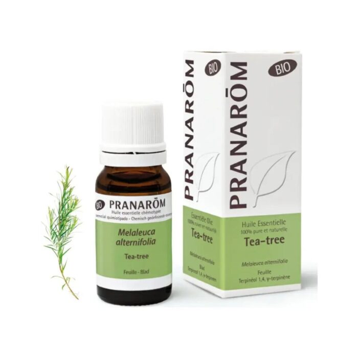 Olejek eteryczny Drzewo herbaciane Melaleuca alternifolia 10ml PRANARÔM BIO - obrazek 2