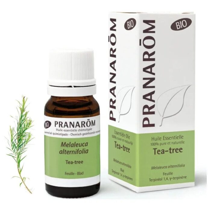 olejek-eteryczny-drzewo-herbaciane-melaleuca-alternifolia-10mlpranarombio-2.jpg Olejek eteryczny Drzewo herbaciane Melaleuca alternifolia 10ml PRANARÔM BIO - obrazek 1