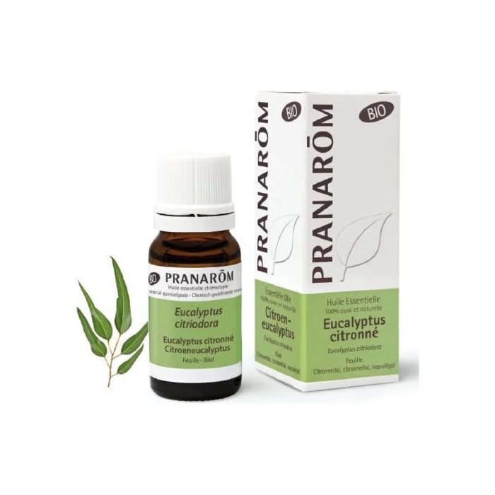 Olejek eteryczny eukaliptusowy Eukaliptus cytrynowy Eucalyptus citriodora 10ml PRANARÔM BIO - obrazek 1