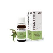 Olejek eteryczny eukaliptusowy Eukaliptus gałkowy Eucalyptus globulus 10ml PRANARÔM BIO - obrazek 2