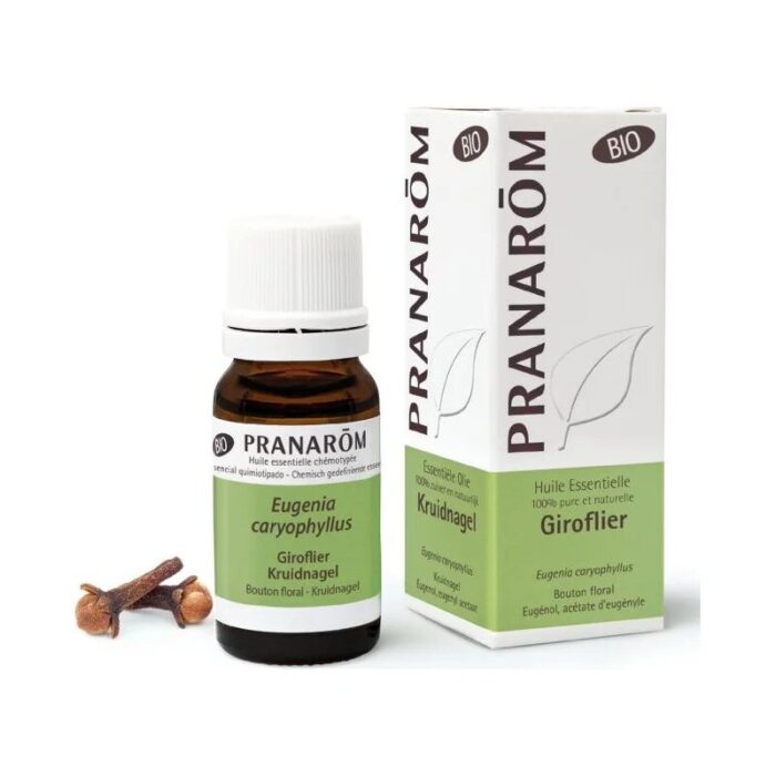 Olejek eteryczny goździkowy Goździk Eugenia caryophyllus 10ml PRANARÔM BIO - obrazek 1