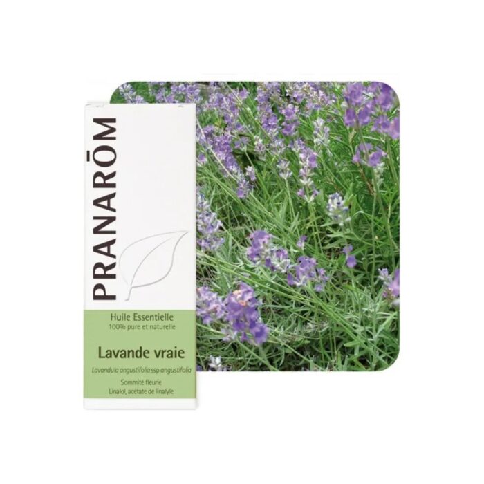 Olejek eteryczny Lawenda wąskolistna Lavandula angustifolia ssp angustifolia 10ml PRANARÔM - obrazek 2