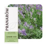 Olejek eteryczny Lawenda wąskolistna Lavandula angustifolia ssp angustifolia 10ml PRANARÔM