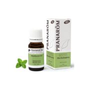 Olejek eteryczny miętowy Mięta zielona Spearmint Mentha spicata 10ml PRANARÔM BIO - obrazek 2