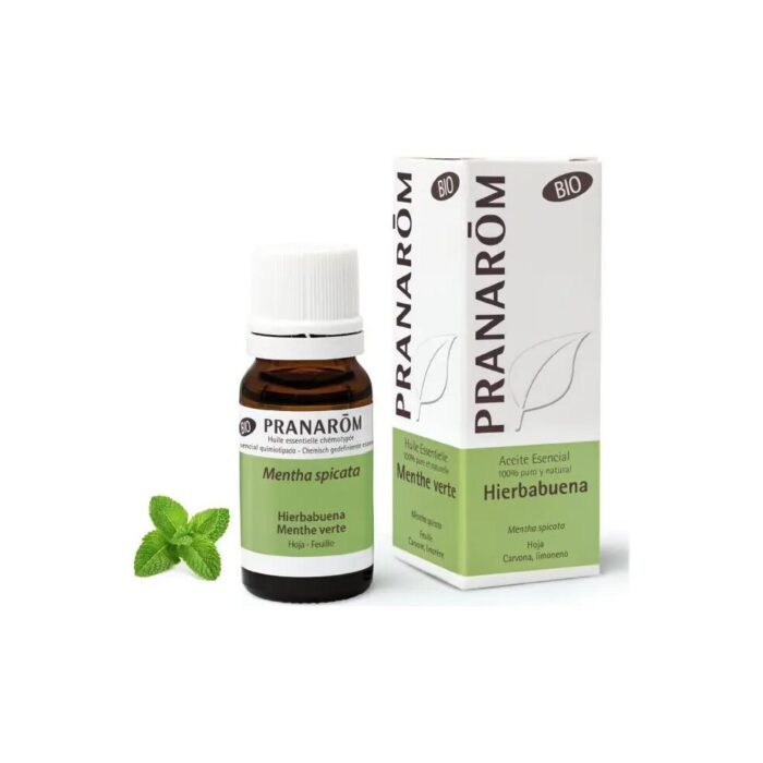 Olejek eteryczny miętowy Mięta zielona Spearmint Mentha spicata 10ml PRANARÔM BIO - obrazek 2