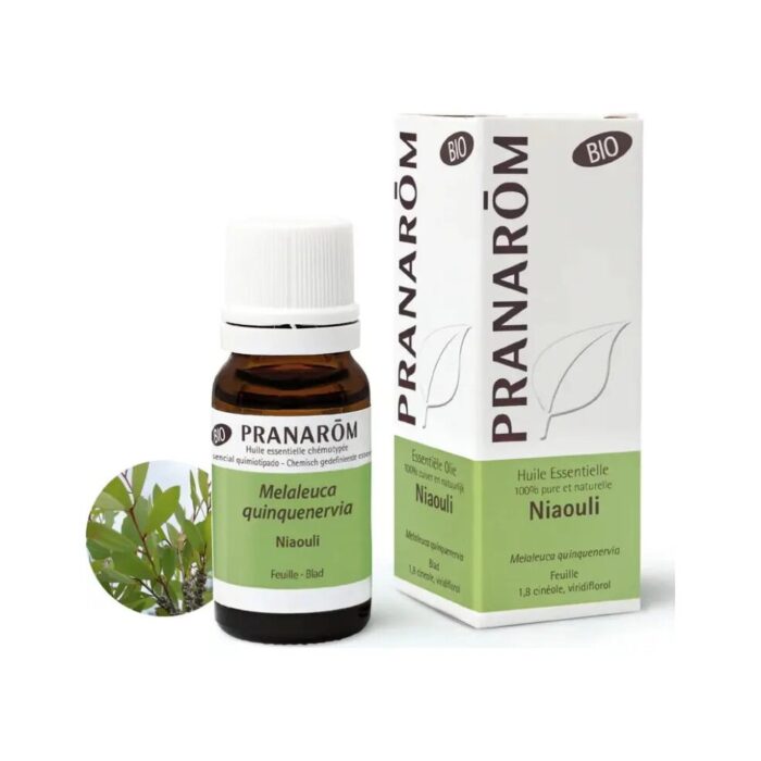 Olejek eteryczny niaouli Gomenol Melaleuca quinquenervia ct cineole 10ml PRANARÔM BIO - obrazek 2