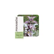 Olejek eteryczny szałwiowy Szałwia muszkatołowa Clary sage Salvia sclarea 5ml PRANARÔM BIO - obrazek 2