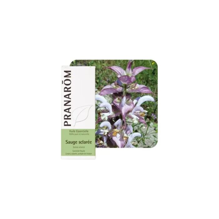 Olejek eteryczny szałwiowy Szałwia muszkatołowa Clary sage Salvia sclarea 5ml PRANARÔM BIO - obrazek 2