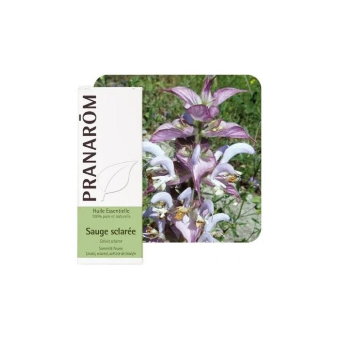 olejek-eteryczny-szalwiowy-szalwia-muszkatolowa-clary-sage-salvia-sclarea-5mlpranarombio-2.jpg Olejek eteryczny szałwiowy Szałwia muszkatołowa Clary sage Salvia sclarea 5ml PRANARÔM BIO - obrazek 1