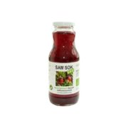 SOK Z ŻURAWINY WIELKOOWOCOWEJ NFC BIO 250 ml - VIANDS (SAM SOK) - obrazek 2